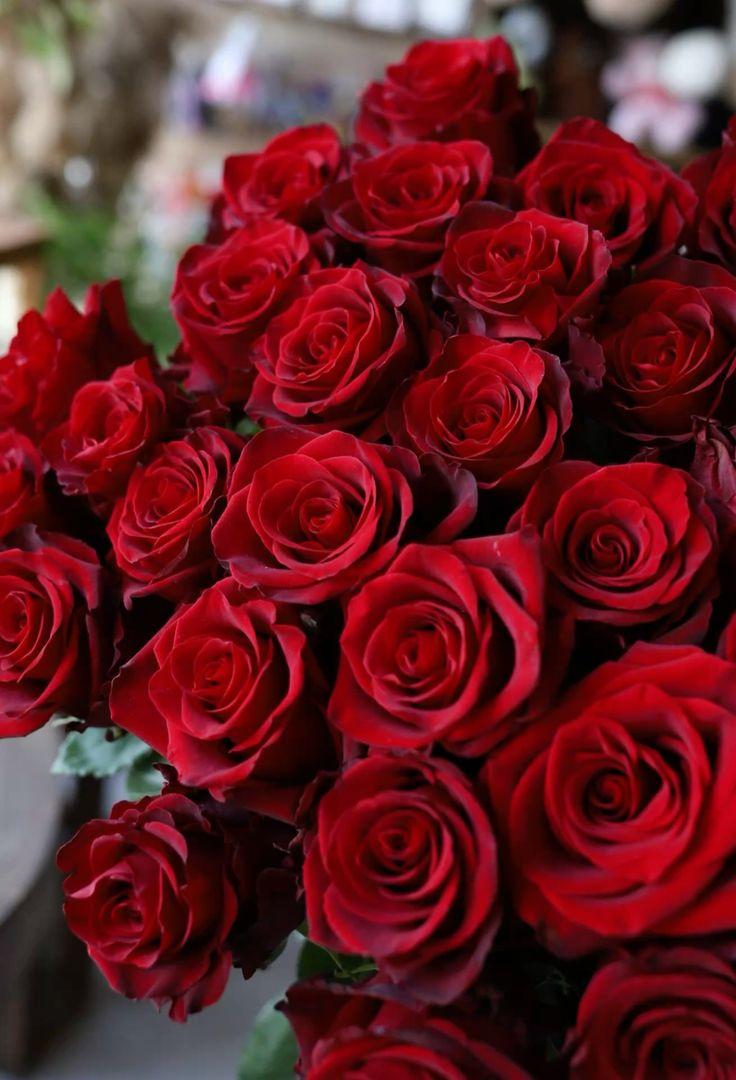 Crimson Elegance Wrapped in Greenery Delight