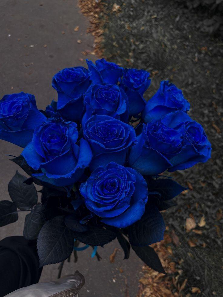 Sapphire Skies and Golden Blooms Medley